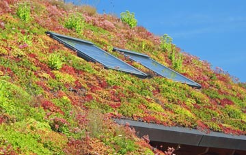 Ogmore By Sea living roof systems